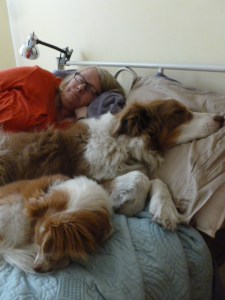 Ozzie always enjoyed taking Doug's place in the bed