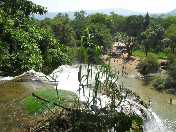 One of the two beautiful falls we visited in the Huasteca region./ Una de las dos cascadas hermosas que visitamos en la Región Huasteca. 