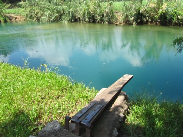 Dad and I spent a good hour swimming at this impeccable spot above the Tamasopo falls, just far enough away to be free of the strong currents and the plethora of tourists. / Mi papi y yo pasamos una hora nadando por esta lugar prístina encima de las cascadas Tamasopo, retirados por ser libre de los corrientes fuertes del rio y el enjambre de turistas. 