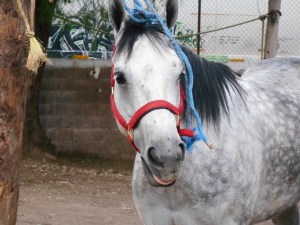 Paloma talking to me