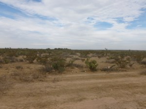 High desert land on the way to La Reforma